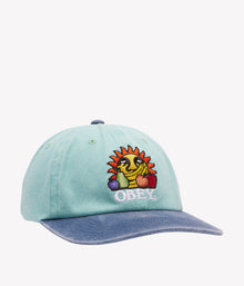  Obey Pigment Fruits 6 Panel Snapback