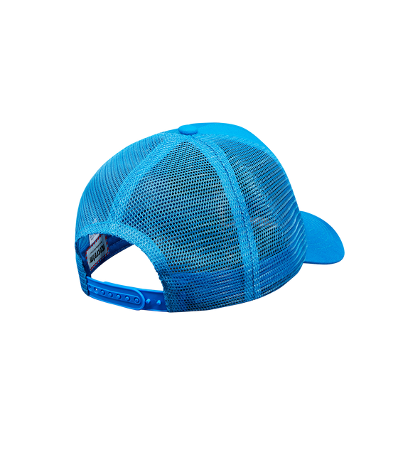 Ice Cream Skateboard Team Trucker Hat