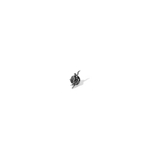  Polar No Complies Forever Pin