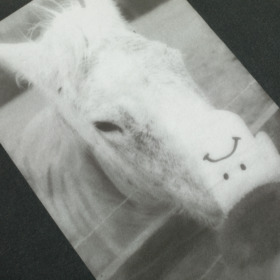 Polar Horse Hand T-Shirt