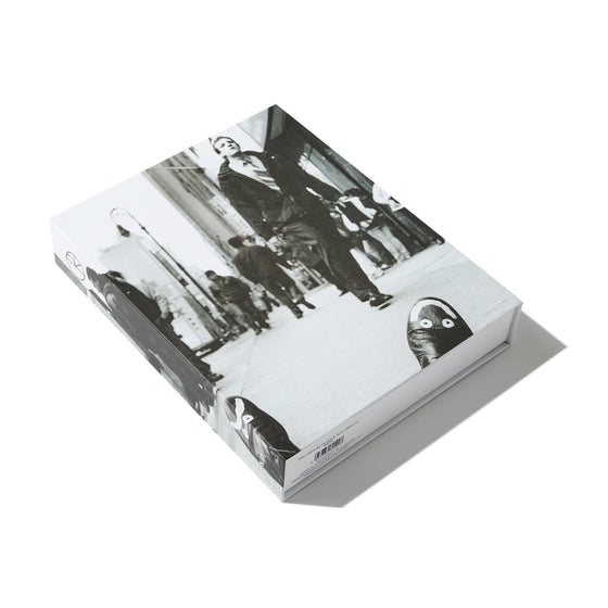 Polar Puzzle N.01